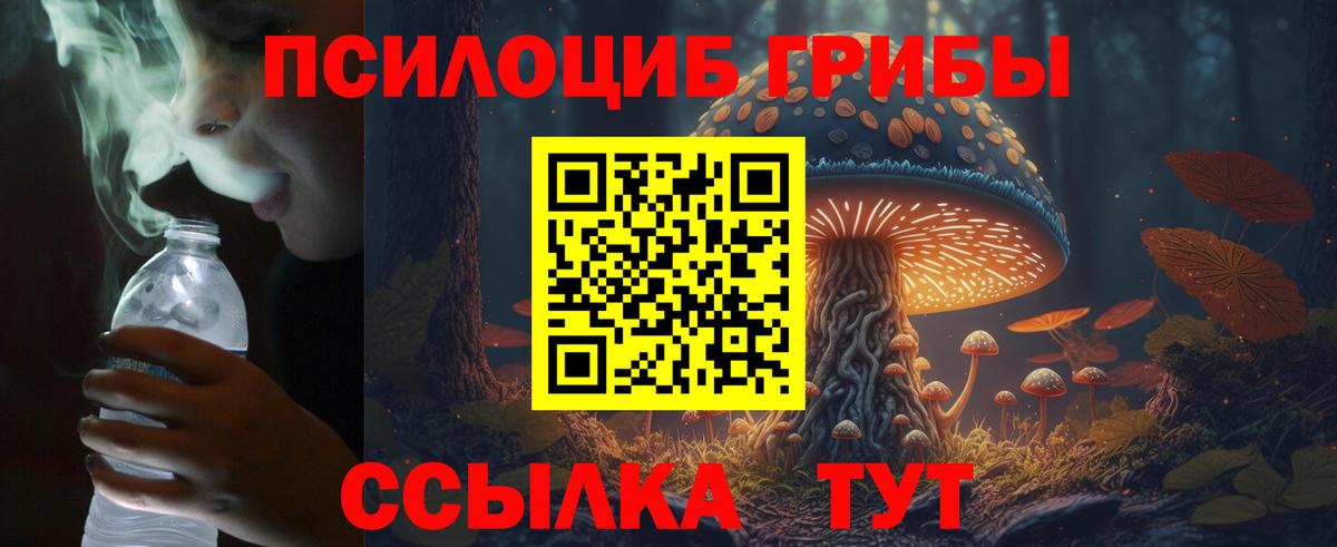 Кузнецк  Галлюциногенные грибы GOLDEN TEACHER  Вход с VPN  Галлюциногенные грибы ЛСД 